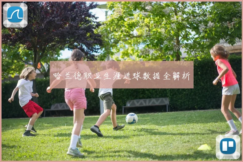 哈兰德职业生涯进球数据全解析